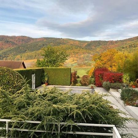 Logement De Charme Au Coeur De La Nature Osenbach ภายนอก รูปภาพ