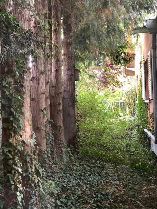 Logement De Charme Au Coeur De La Nature Osenbach ภายนอก รูปภาพ