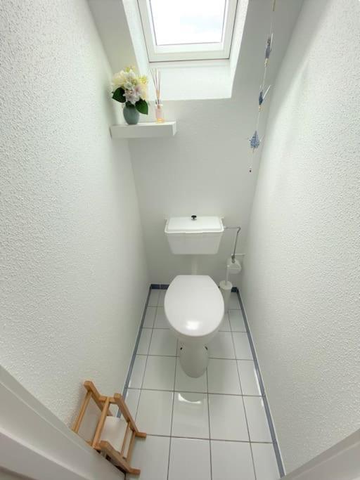 Logement De Charme Au Coeur De La Nature Osenbach ภายนอก รูปภาพ
