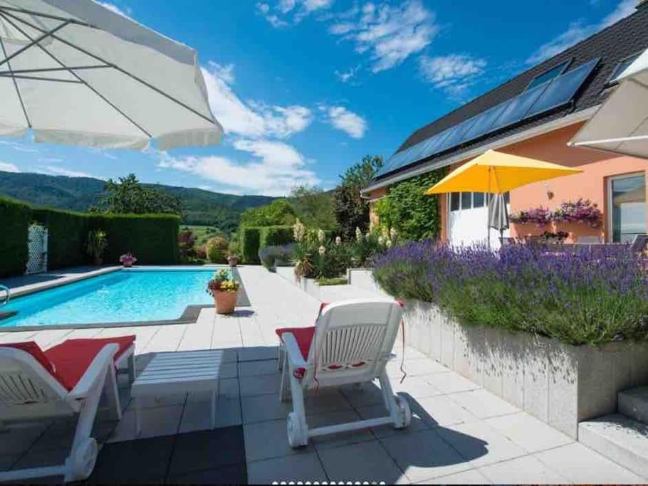 Logement De Charme Au Coeur De La Nature Osenbach ภายนอก รูปภาพ